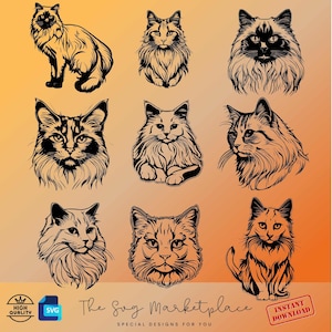 Ragdoll Cat SVG & PNG Bundle - 9 Adorable American Ragdoll Designs for Crafting, Perfect Cat Lover Digital Files Gift