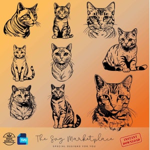 Shorthair Cat SVG/PNG Bundle - 9 American Shorthair Designs for Crafting, Cat Lovers Digital Art, Perfect Gift for Pet Enthusiasts