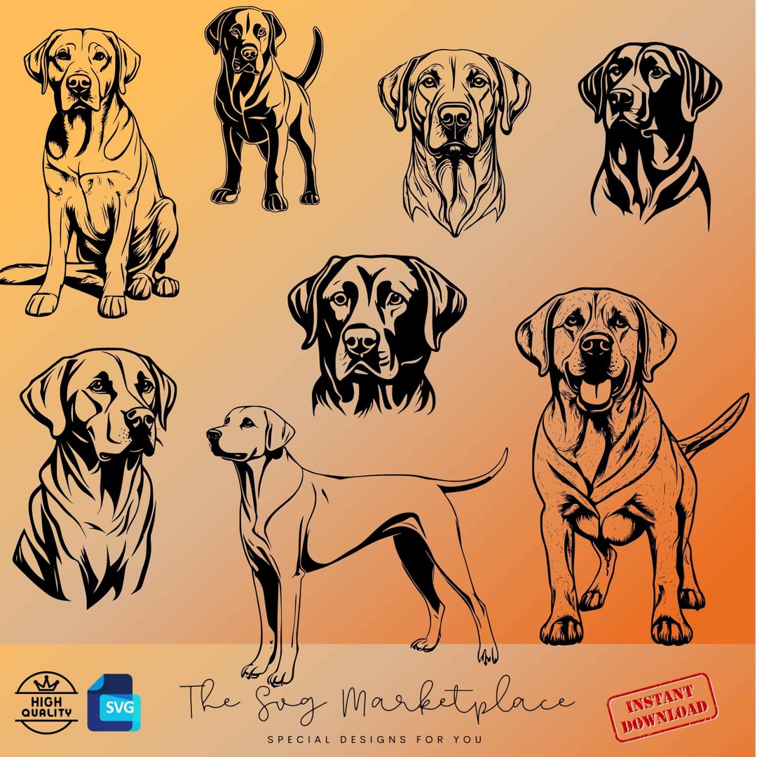 Labrador Retriever SVG & PNG Bundle 8 Adorable Dog Designs for Crafting ...