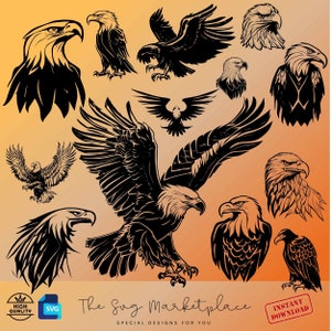 Bald Eagle svg, bald Eagle power, bald Eagle PNG, bald Eagle claw, Eagle claw