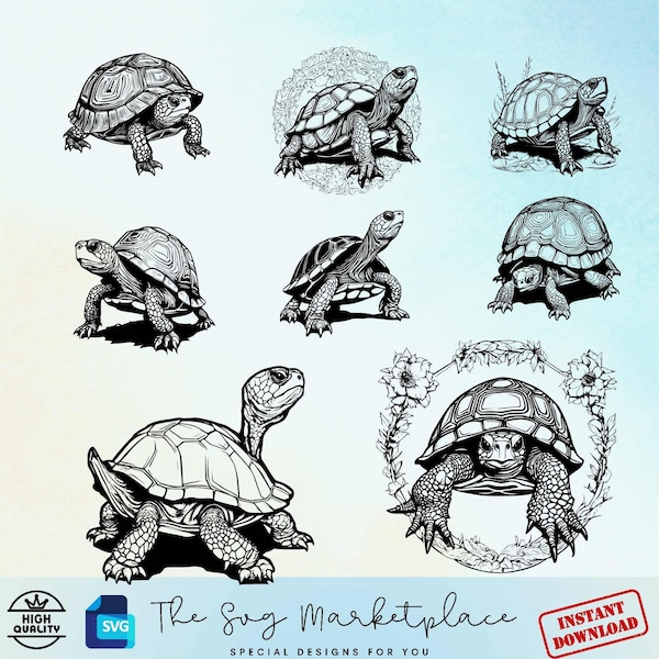 Box Turtle SVG & PNG Bundle - 8 Charming Nature-Inspired Vector Illustrations for Crafting , DIY Projects, Perfect Wildlife Lover Gift