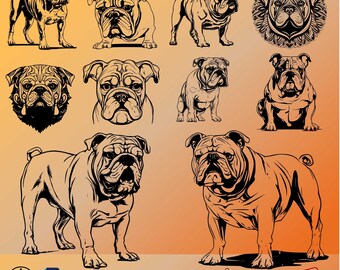 Bulldog SVG/PNG Bundle: 10 Dog Designs (Digital Download)