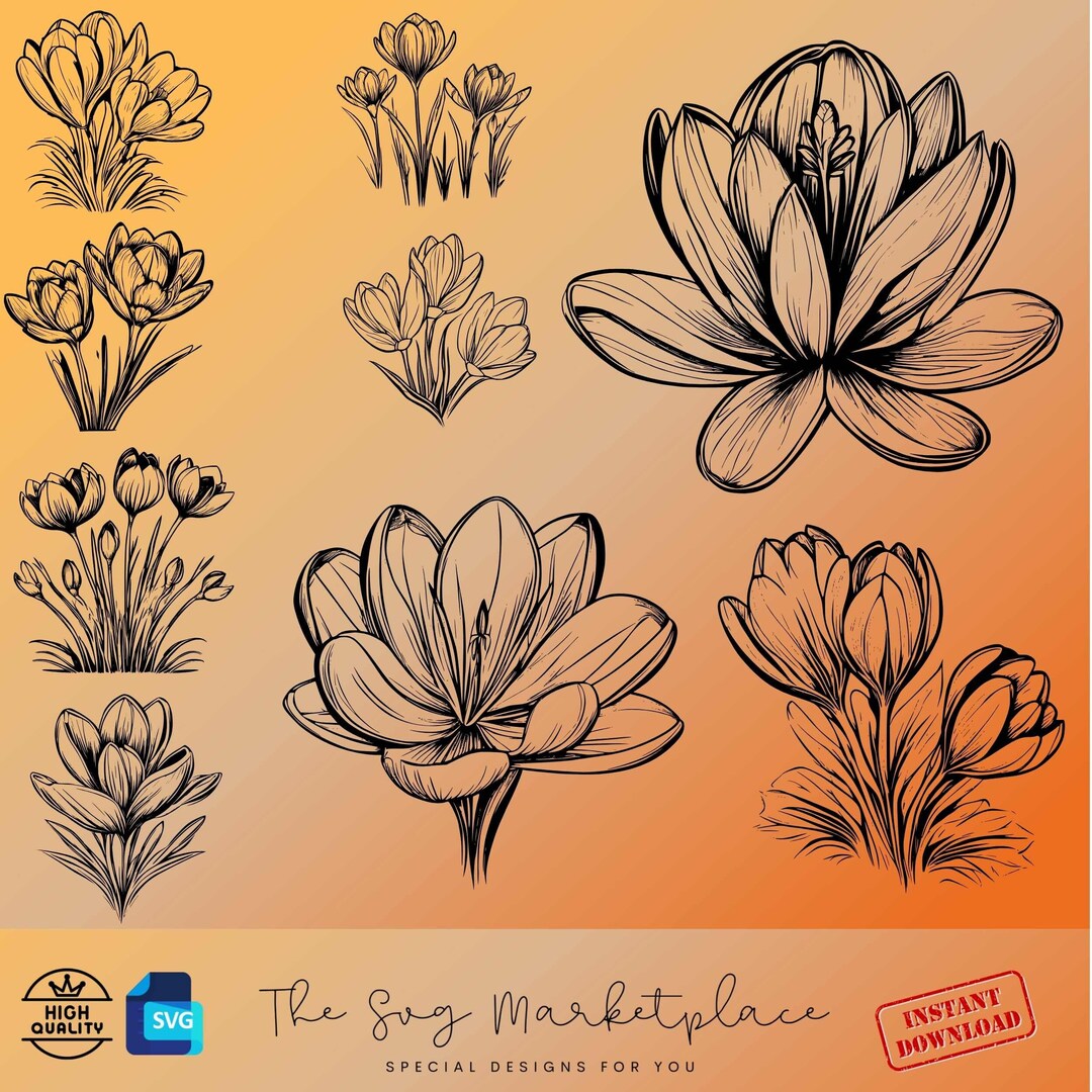 Crocus Flower SVG & PNG Bundle – 9 Unique Designs (digital Download) - Etsy