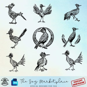 Roadrunner SVG Bundle - 9 Unique Bird Vector Designs - Digital Download