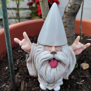 Funny garden gnomes -  France