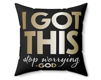 I GOT This Accent Pillow.