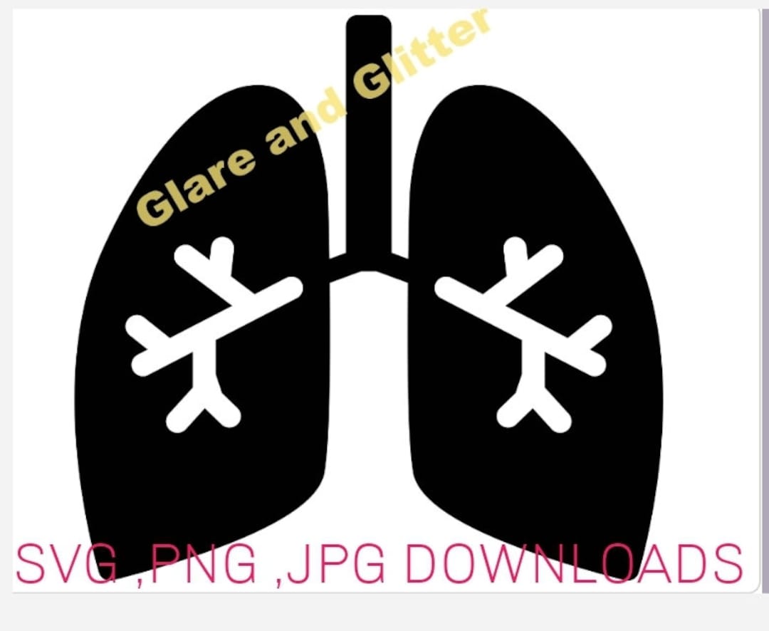 Lungs Anatomy Lungs medical Lungs Cut File for - Etsy