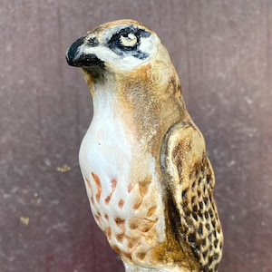 Falcon Spirit Stick and Companion Stone - Spirit Animal/Totem as a Talking Stick/Healing Tool