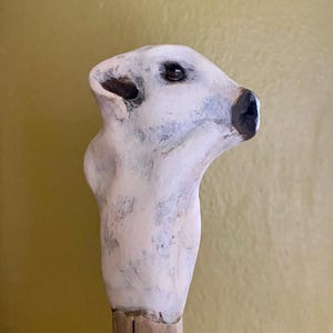 White Buffalo Calf Spirit Stick and Companion Stone - Spirit Animal/Totem as a Talking Stick/Healing Tool
