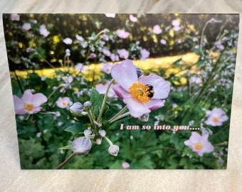 Greeting Cards, I Love You Cards, Flower Cards, love bee