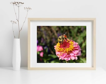 Flower & Bee Photograph Print. Instant Downloadable Print. Art - Nature Photography - Wall Art - Digital Print - Poster - Insect Photography