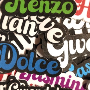 Personalized Name Sticker, Custom Name Sticker, Water Bottle sticker, Laptop Sticker, Planner Sticker, Decal Sticker, Vinyl Sticker