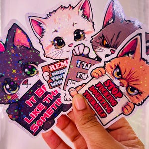 Puede incluir: Cuatro pegatinas de gato coloridas con detalles de purpurina. Cada pegatina presenta un gato sosteniendo un cartel con un mensaje diferente. Los mensajes son "Like It Be Sometime", "REM DRIN YOU WHI", "I'LL F*** IM", y "STOP FUCKING DOUBTING YOURSELF".