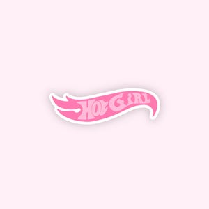 Hot Girl Sticker, Pink Sticker, Laptop sticker, IPad sticker, Kindle sticker