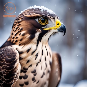 Falcon Print Winter Birds Collection: peregrine falcon. Printable Poster, Digital Print, Instant Download, AI Art, Wildlife, Bird of prey