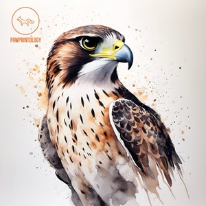 Impresión de acuarela de halcón, pintura de acuarela de pájaro del bosque, póster de halcón peregrino, arte mural en acuarela, regalo cottagecore, decoración de cueva de hombre