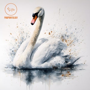 Swan Painting Digital Art Print, Swan Wall Art Poster, Wall Decor Printable Download, Watercolour Bird Illustration, Wild Bird Artwork