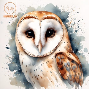 Impresión artística de lechuza común, arte mural digital, decoración caprichosa para casa de búho, colgante de pared de aves, regalo de ornitología para observadores de aves, obra de arte inspirada en la naturaleza