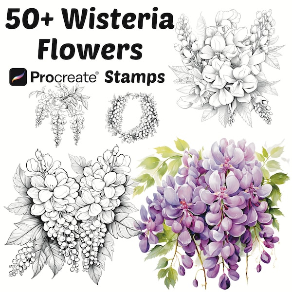Procreate Wisteria Flower Stamps | 50+ Wisteria Flower Procreate Brushes | Botanical Procreate | Floral Procreate | Nature | Cute Procreate