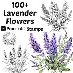 Procreate Lavender Flower Stamps | 100+ Lavender Flower Procreate Brushes | Botanical Procreate | Floral Procreate | Lavender Procreate