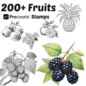 May include: An illustration featuring various fruits, including apricots, grapes, oranges, a pineapple, and blackberries. The image includes the text "200+ Fruits" and "Procreate Stamps". The fruits are depicted in a detailed, artistic style.