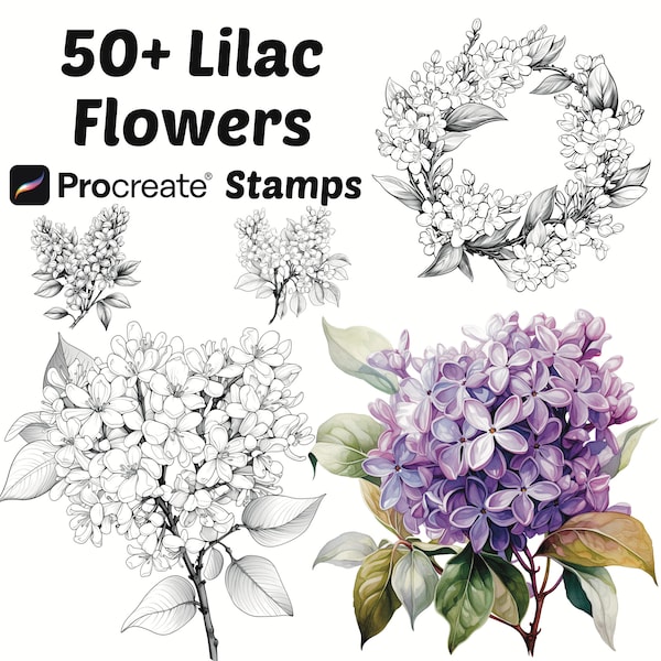 Procreate Lilac Flower Stamps | 50+ Lilac Flower Procreate Brushes | Botanical Procreate | Floral Procreate Brushes | Nature Procreate |Cute