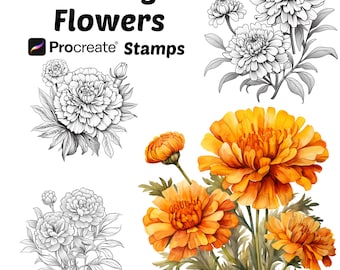 Procreate Marigold Flower Stamps | 50+ Marigold Flower Procreate Brushes | Botanical Procreate | Floral Procreate |Marigold Procreate Stamps