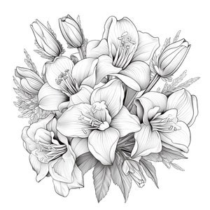 Procreate Amaryllis Flower Stamps 50 Amaryllis Flower Procreate Brushes ...