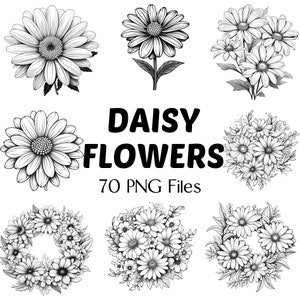Flowers PNG | 70 Daisy Flowers Png | Daisy Flowers PNG | Wildflowers PNG | Doodle Flowers | Flowers Clip Art | Line Drawing | Floral Bundle