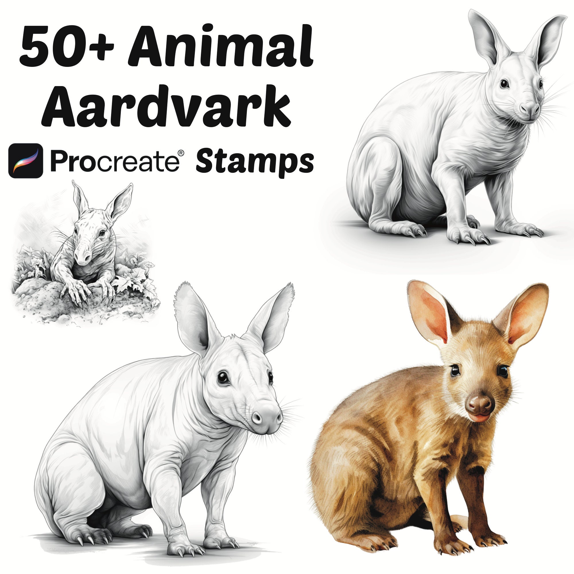 Procreate Animals Stamps | 50+ Aardvark Procreate Brushes | Animals ...