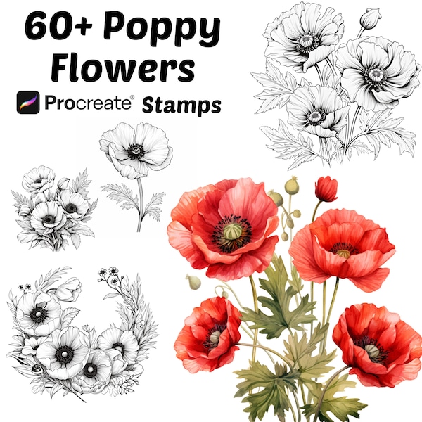 Procreate Poppy Flower Stamps | 50+ Poppy Flower Procreate Brushes | Botanical Procreate | Floral Procreate | Poppy Procreate Stamps