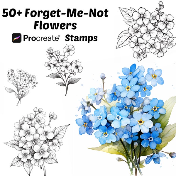 Procreate Forget me not Flower Stamps | 50+ Forget me not Flower Procreate Brushes | Botanical Procreate | Floral Procreate | Procreate