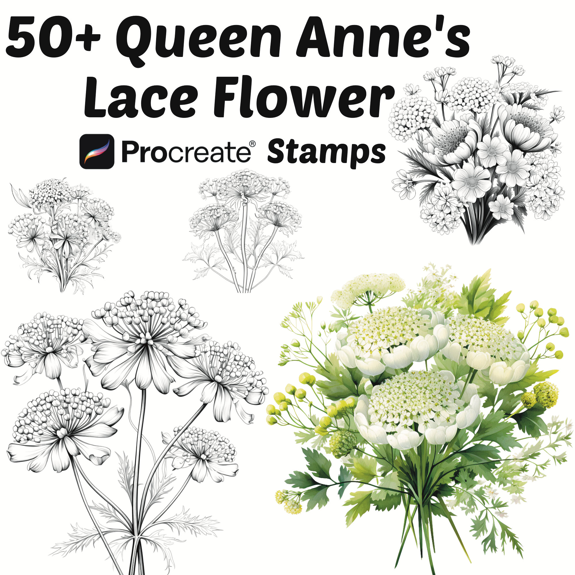 Queen Annes Lace Tattoo - Etsy, image size:2000x2000