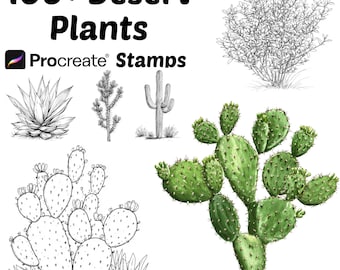 Sellos de plantas del desierto para Procreate / Más de 100 pinceles para plantas para Procreate / Botánico para Procreate / Naturaleza para Procreate / Suculentas para Procreate, Cactus, Árboles