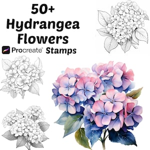 Procreate Hydrangea Flower Stamps | 50+ Hydrangea Flower Procreate Brushes | Botanical Procreate | Floral Procreate | Hydrangea Procreate