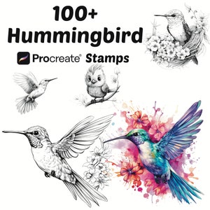 May include: 100+ Hummingbird Procreate Stamps. A digital art stamp set featuring illustrations of hummingbirds in various poses and styles, including a hummingbird in a nest, a hummingbird with watercolor flowers, and a hummingbird in flight.