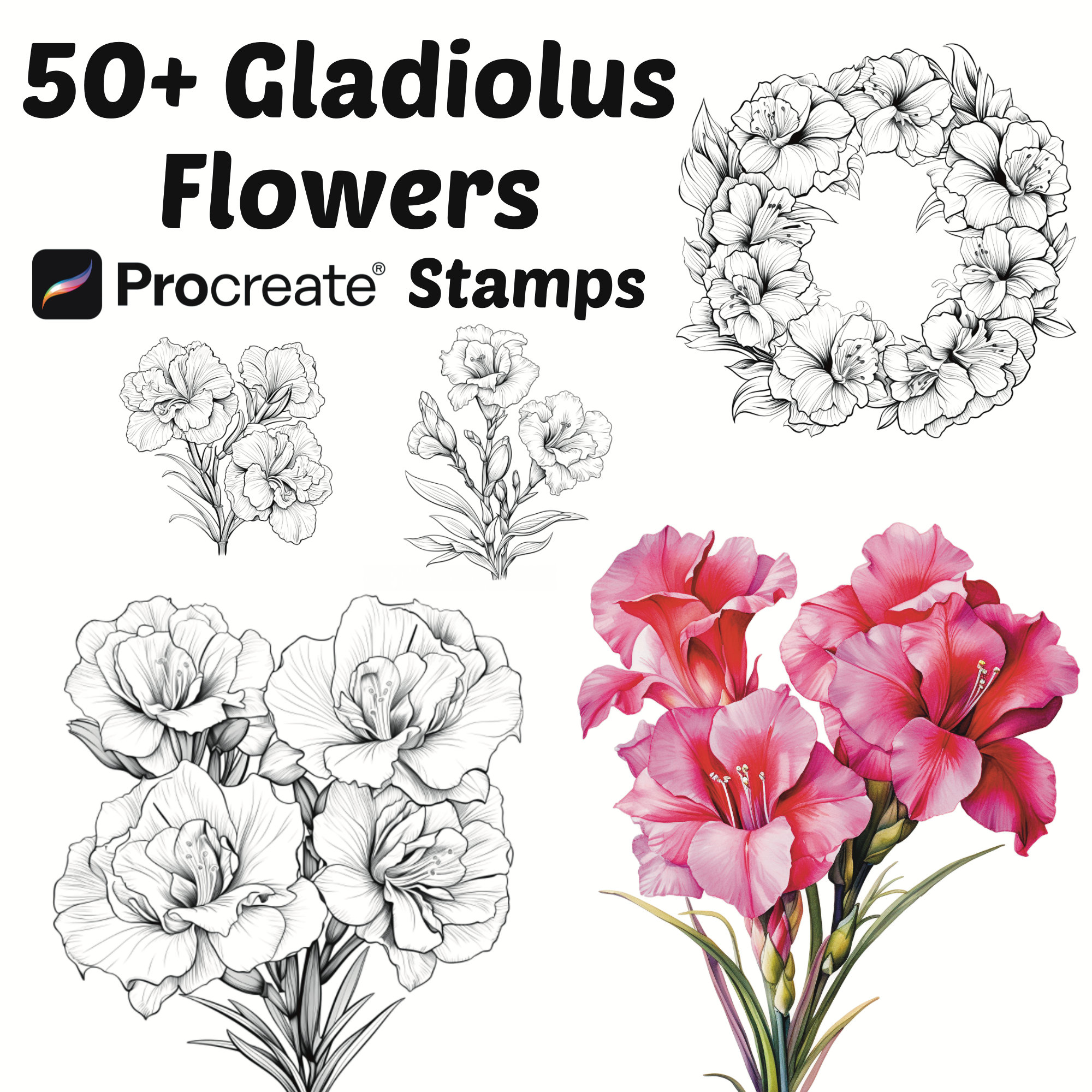 Procreate Gladiolus Flower Stamps | 50+ Gladiolus Flower Procreate Brushes | Botanical Procreate | Floral Procreate | Nature Procreate
