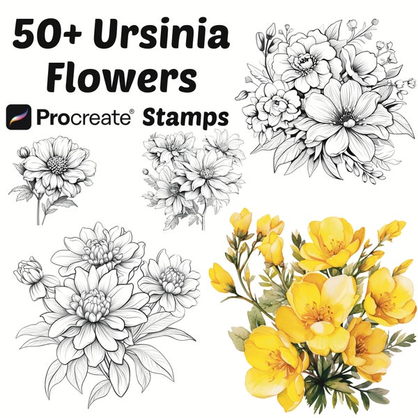 Procreate Ursinia Flower Stamps | 50+ Ursinia Flower Procreate Brushes | Botanical Procreate | Floral Procreate | Nature Procreate | Cute