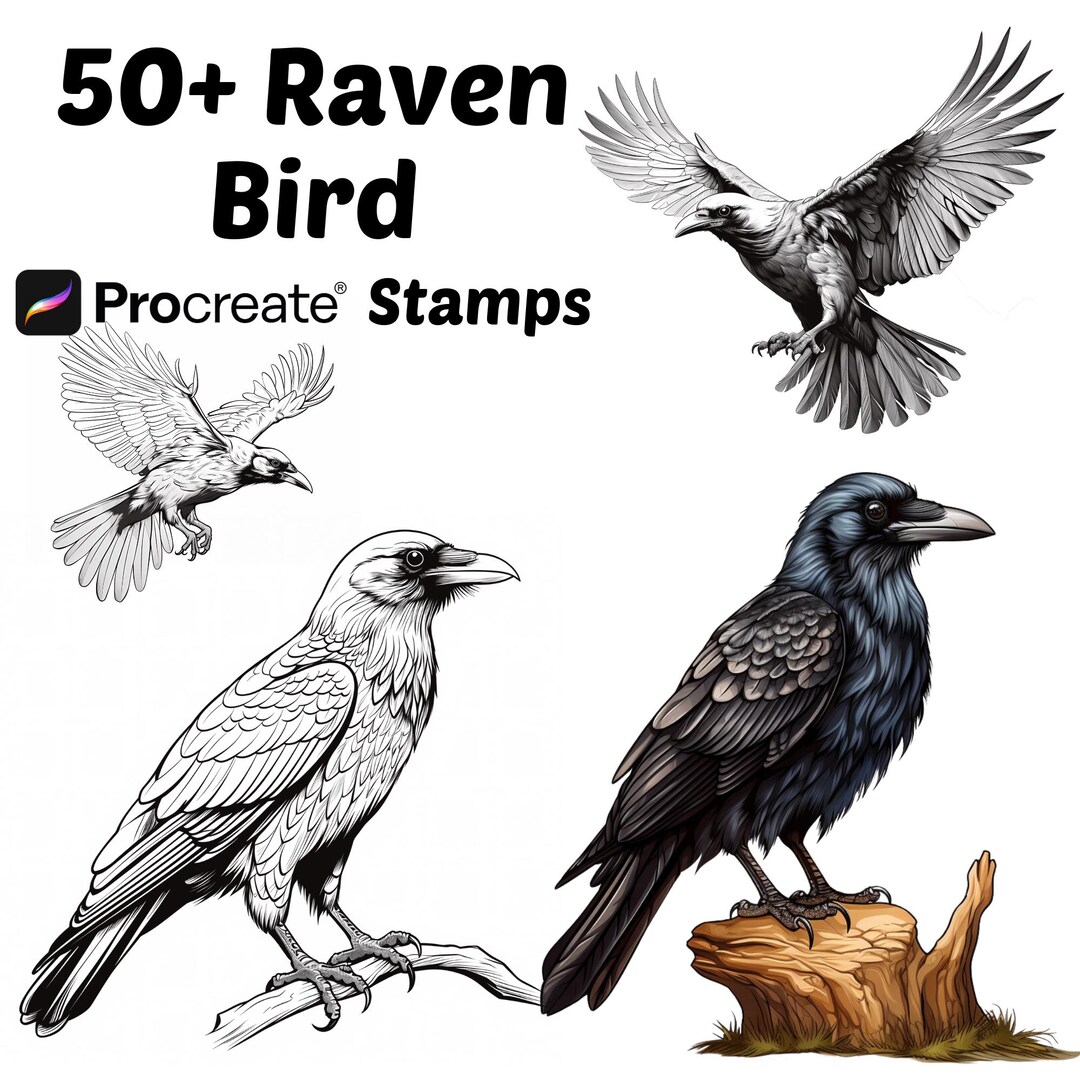 Procreate Animals Stamps | 50+ Raven Bird Procreate Brushes | Crow ...