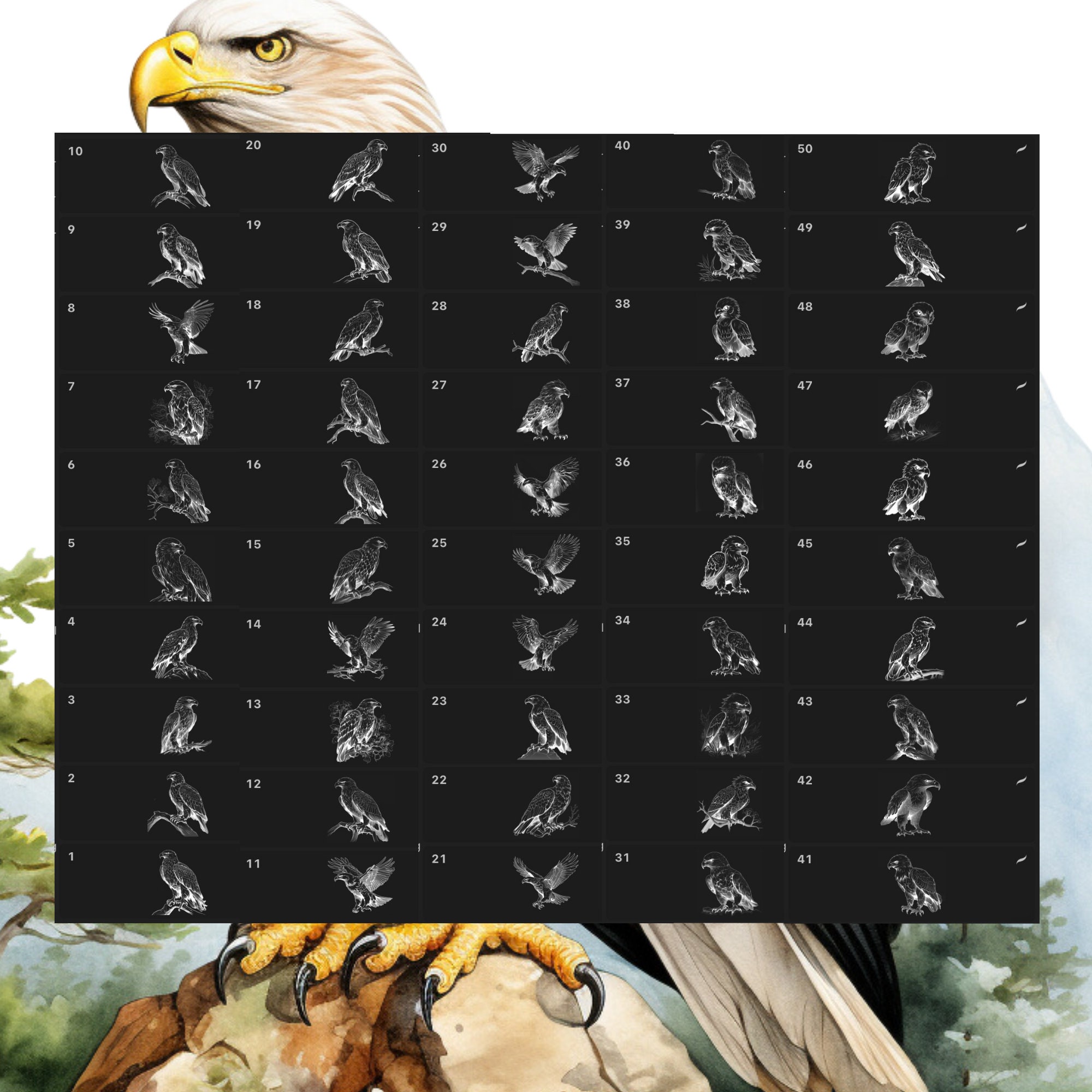 Procreate Animals Stamps | 50+ Eagle Bird Procreate Brushes | Animal ...