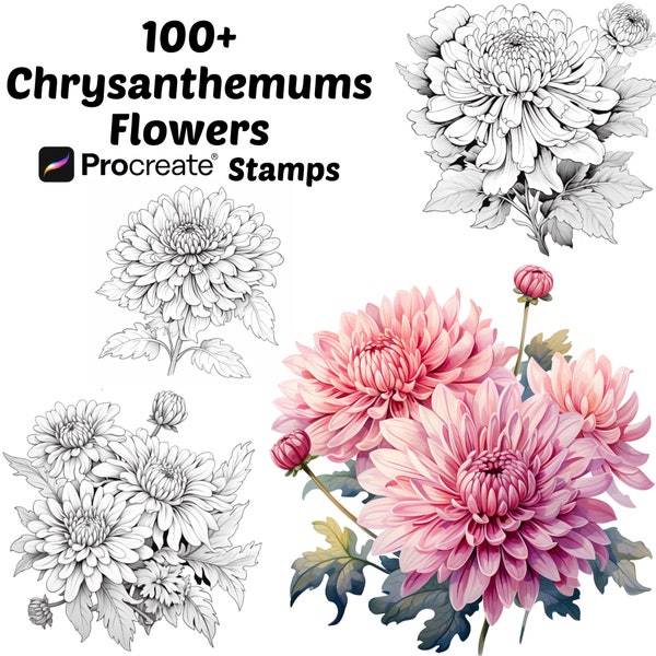 Procreate Chrysanthemen Blumenstempel | 100+ Chrysanthemen Blume Procreate Pinsel | Botanische Zeugung | Florale Zeugung | Zeugen