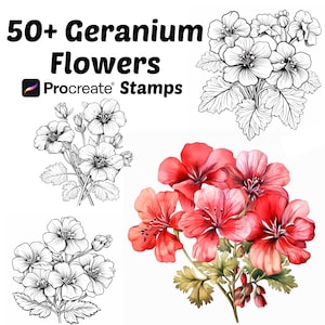 Procreate Geranium Flower Stamps | 50+ Geranium Flower Procreate Brushes | Botanical Procreate | Floral Procreate | Geranium Procreate
