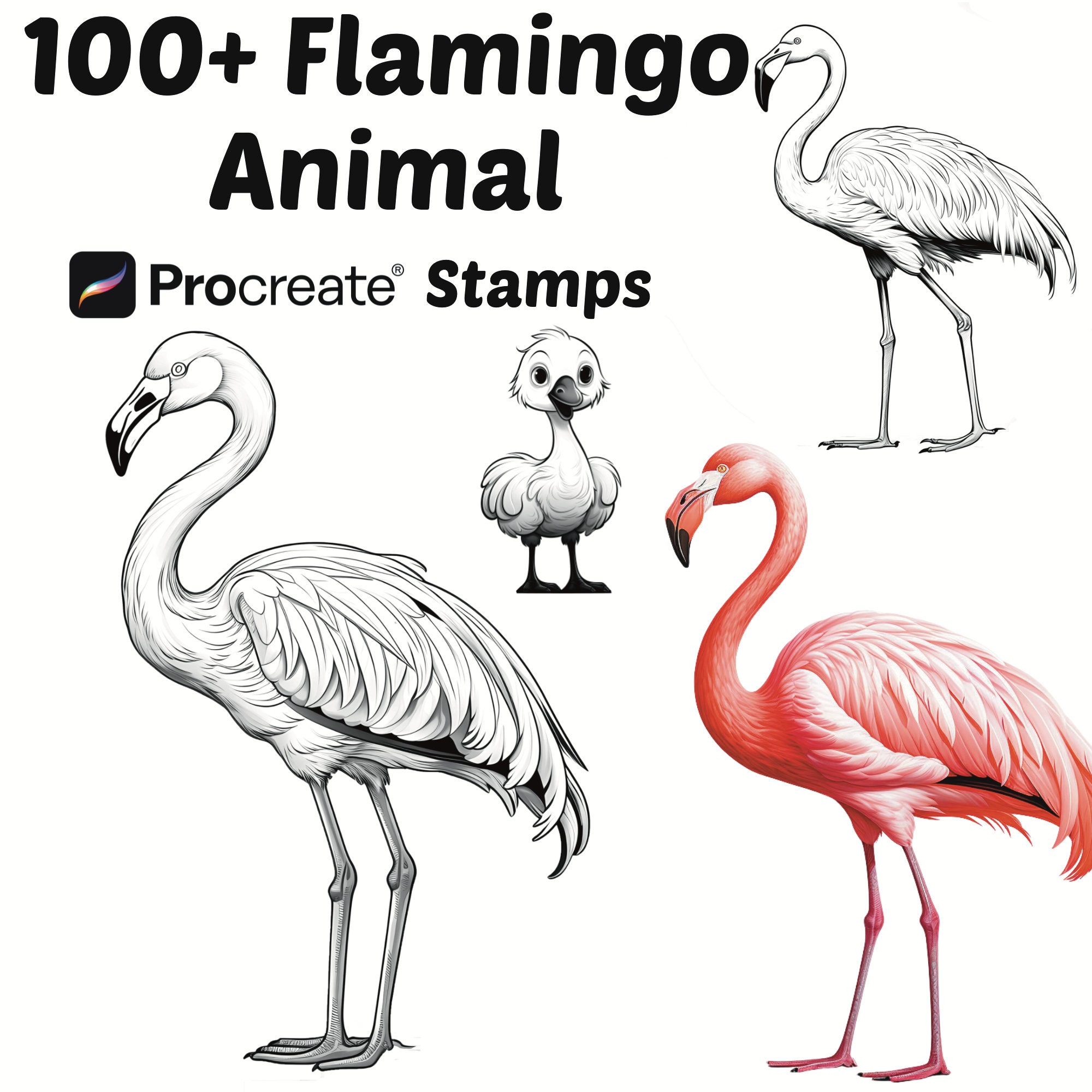 Procreate Animals Stamps | 100+ Flamingo Procreate Brushes | Animal ...