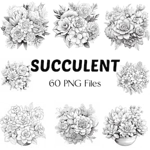 May include: A set of 60 black and white digital illustrations of succulent plants. The illustrations are in a vintage style and feature a variety of succulents, including echeveria, sedum, and sempervivum. The text "Succulent 60 PNG Files" is included in the image.
