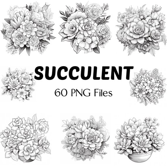 Botanical PNG | 60 Succulent Png | Succulent Pot PNG Clipart | Doodle Leaves | Boho Leaves Clip Art | Line Drawing | Plants Bundle Png