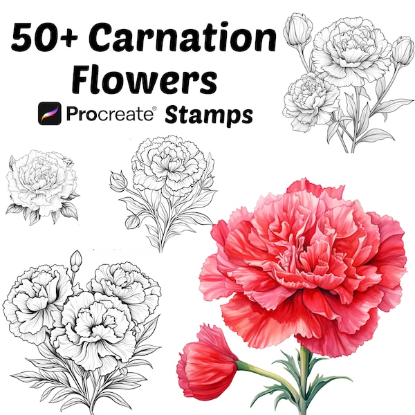 Procreate Carnation Flower Stamps | 50+ Carnation Flower Procreate Brushes | Botanical Procreate | Floral Procreate | Carnation Procreate