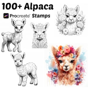 May include: A set of 100+ Procreate stamps featuring adorable alpaca illustrations in various poses. The stamps include both black and white line art and colorful watercolor designs.