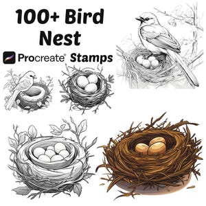 May include: Digital stamps for Procreate featuring bird nests. The image displays several illustrations of bird nests with eggs, and a bird perched on a nest. The text reads "100+ Bird Nest Procreate Stamps".