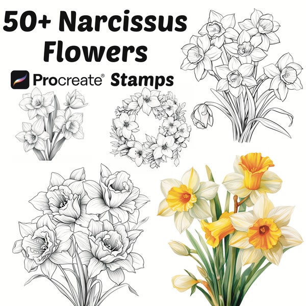 Procréer des timbres de fleurs de narcisse | Plus de 50 pinceaux à procréer en fleurs de narcisse | Procréation botanique | Procréation florale | La nature procrée