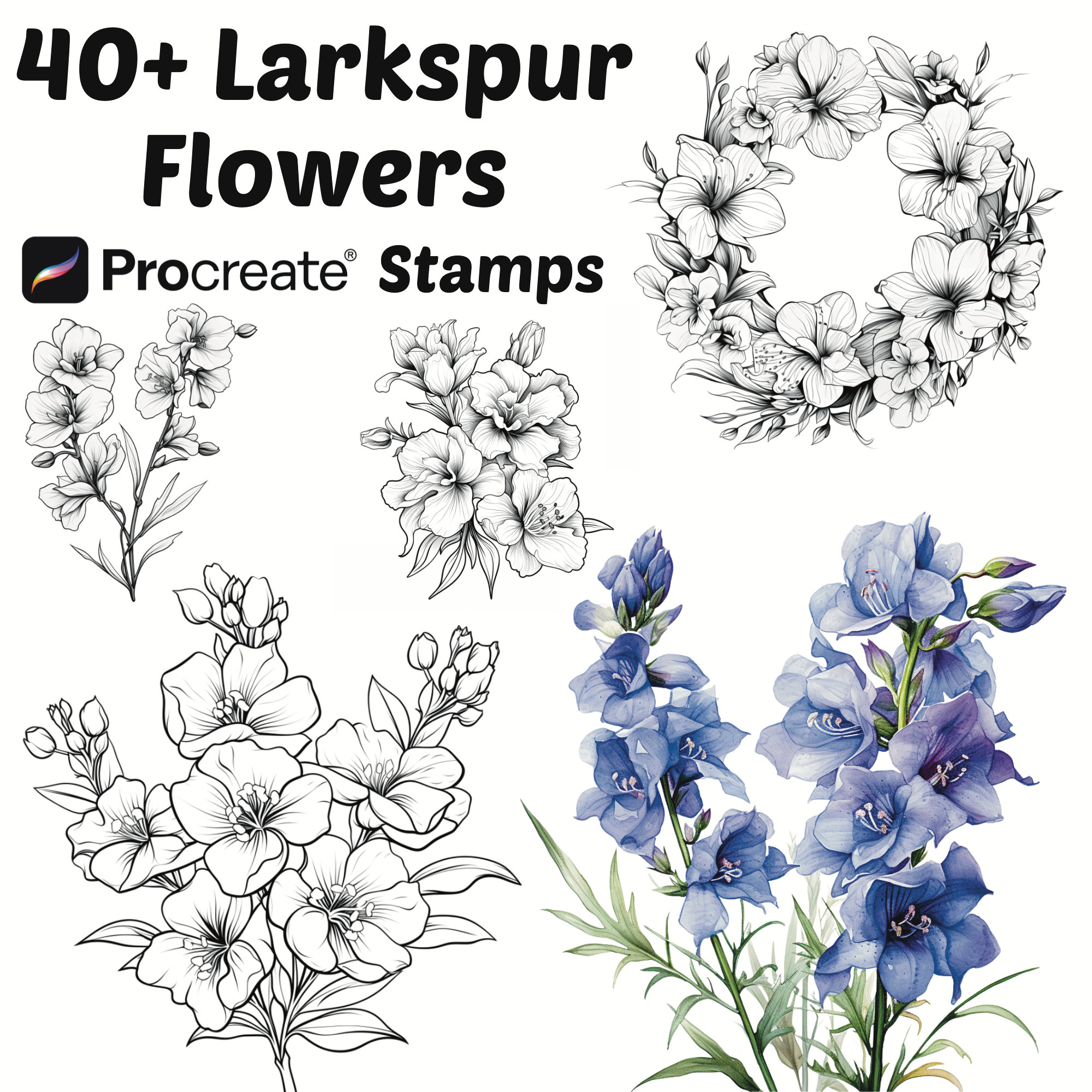 Larkspur Tattoo: Timeless Black & White Beauty